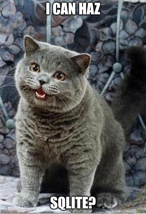 photo of a cat asking if he can have sqlite as a meme